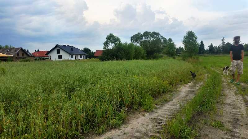 dom, mieszkanie na wsi, polna droga, łąka